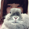 プロフィール