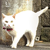 プロフィール